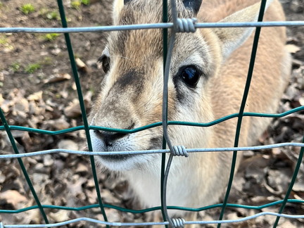 23-02-13 14-02-49 4208